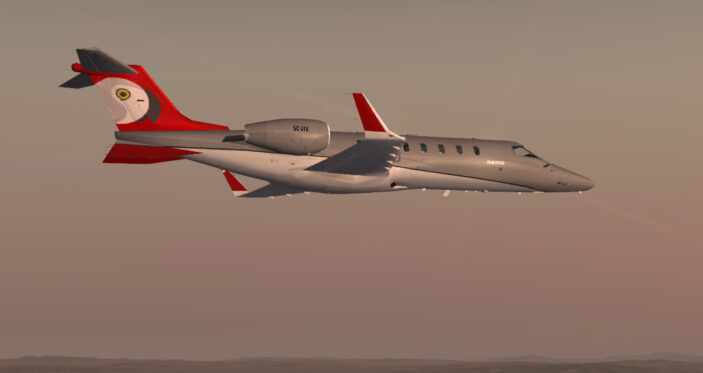 Learjet45 with Nemobird livery